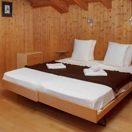 Baudrier A28 By Interhome Verbier